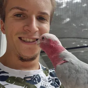 Dierenverzorger en hondenuitlater 