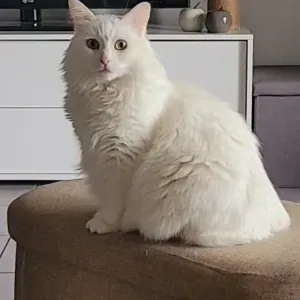 Aide à domicile Aix-en-Provence 