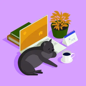 Recherche aide ménagère