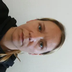 Promenade des chiens donner a mange au animaux