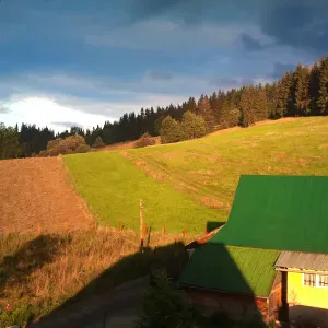 Opieka seniora Kraków