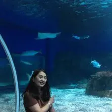 À votre Gentille pet sitter Marilyn 