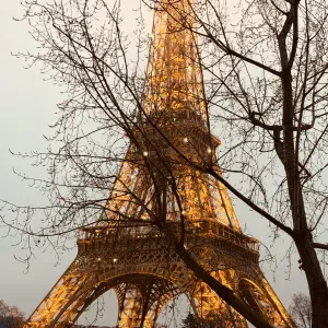 Femme de ménage responsable à houilles