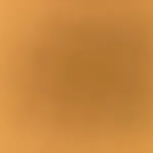 Garde de chiens / chats et autres