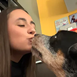 Pet-sitter à Aubange et ses alentours