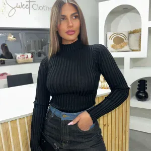 pet sitter sur liege bienvenu 