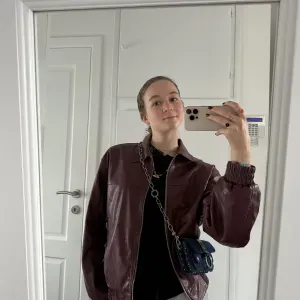 Pet-Sitter et Pet-walker autour de Waterloo