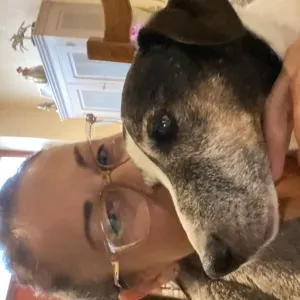 Pet sitter a votre domicile pour chouchouter vos 🐶