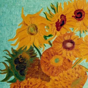 Offerta di lavoro per addetto alla pulizia a Carrara