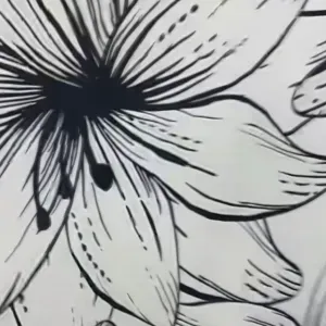 Aide à domicile / Femme de ménage