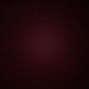 Pet-Sitter à Montreuil ou dans les environs 