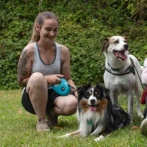 Petsitter dans le 65, un amour de chien