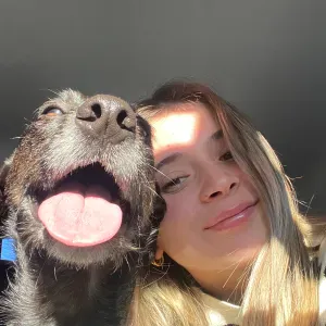 Passeios de cães e babysitting – Aveiro