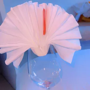 Femme de ménage sur Carcassonne.