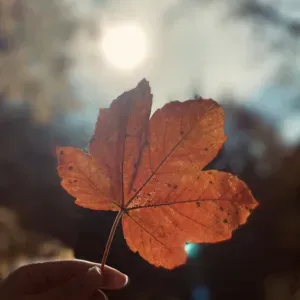 Disponible pour garder vos enfants