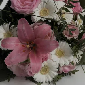 Sterke ondersteuning in economie en wiskunde 