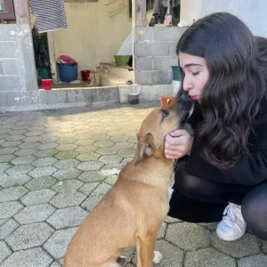 Pet sitting na Figueira da Foz