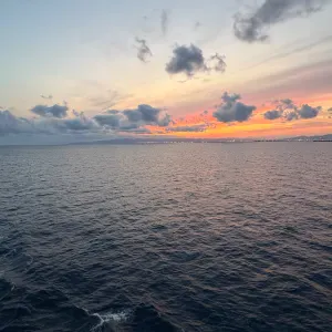 Pet-sitter à Ermont-Eaubonne !