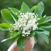 Baby sitter / Garde d'enfants 