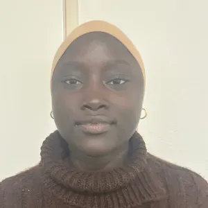 Baby-sitter expérimentée à Paris