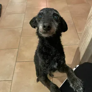 Aide pour personnes âgées seules et à mobilité réduite