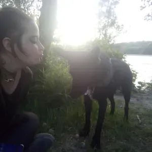 🐾Pet-sitter diplomée (asv) disponible à Lyon.🐾