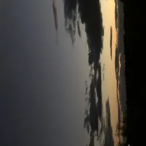 Entretien de la maison à Mèze ou Loupian