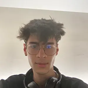 Maître de langues/ Language Teacher