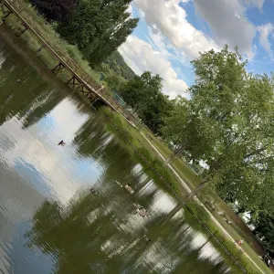 Je suis à votre disposition pour vous aider 