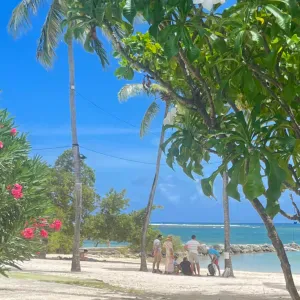 Pet-Sitter Nanterre Puteaux.. etc !