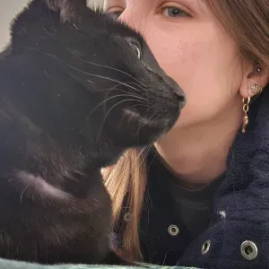 Femme de ménage sur draguignan 