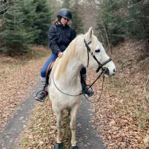Pet sitter dans les Vosges 