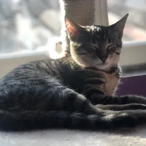 entretien et nettoyage après service