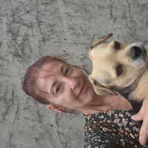 Agent de nettoyage, Aide ménagère