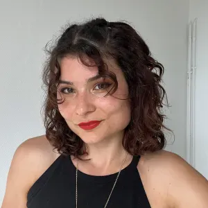 🧺 Repassage à domicile – Service déclaré (CESU)