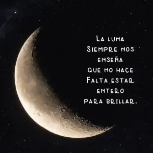 Buscando cuidador y acompañamiento 