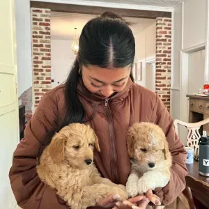 Pet sitter à Paris : The Reliable Mate 