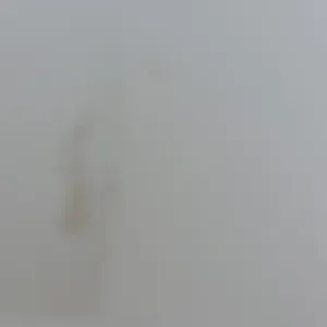 Pet sitting a Catania e zone limitrofe 