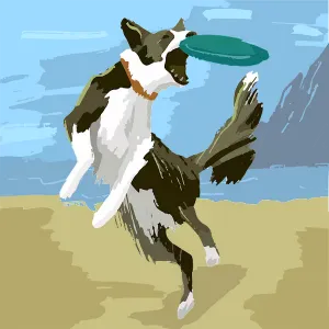 Cerco un servizio di pulizie vicino a me