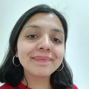 Experienced cleaner with proven experience 