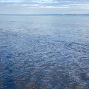 Étudiant en PASS à Brest pour cours de sciences 