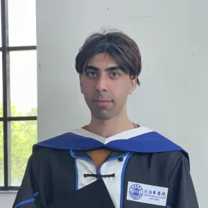 Experiencd Baby  sitter/English Teacher in Rennes