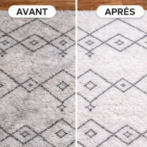 Nettoyage de tapis professionnel