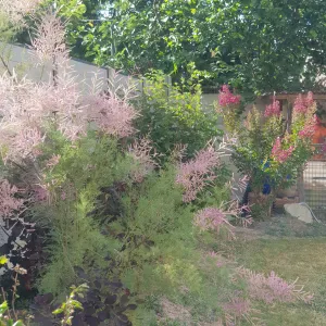 Mlaure, aide ménagère sur St Jean de Braye