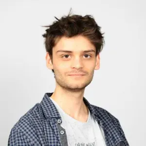 Garde de 2 chats vers Vern sur Seiche ou alentours de Rennes