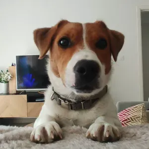 Pet sitter  Anaïs  sur aubagne 🐶