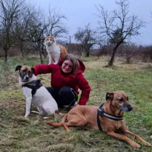 Alexandra Pet-Sitter à vaumort 