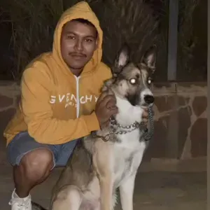 Pet-Sitter à Paris – votre animal mérite le meilleur 