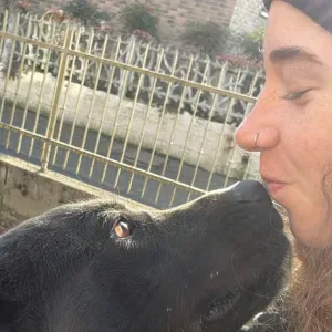 Pet sitting in provincia di Como