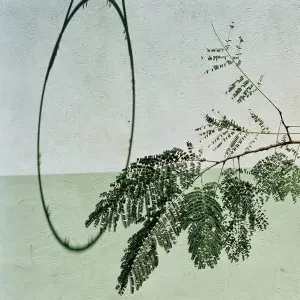 Emploi d'aide ménagère Clichy